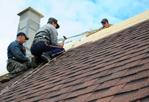 Best Storm Damage Roof Repair  in Worthgton, IN